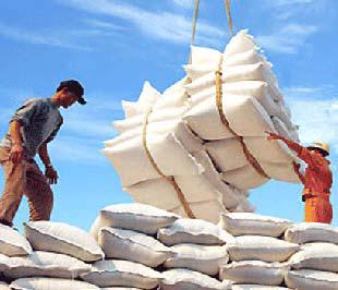 Hiện nay, thuế suất xuất khẩu gạo chỉ áp dụng đối với gạo có giá xuất khẩu từ 800 USD/tấn trở lên.